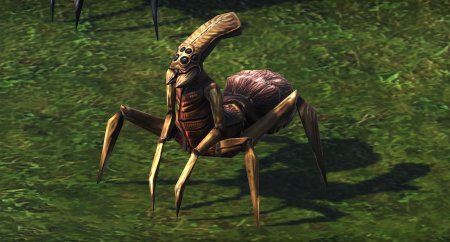 Муравьиный лев халф лайф