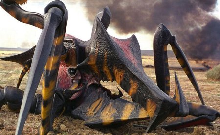 Арахнид звездный десант