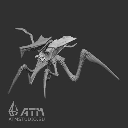 Звездный десант арахниды