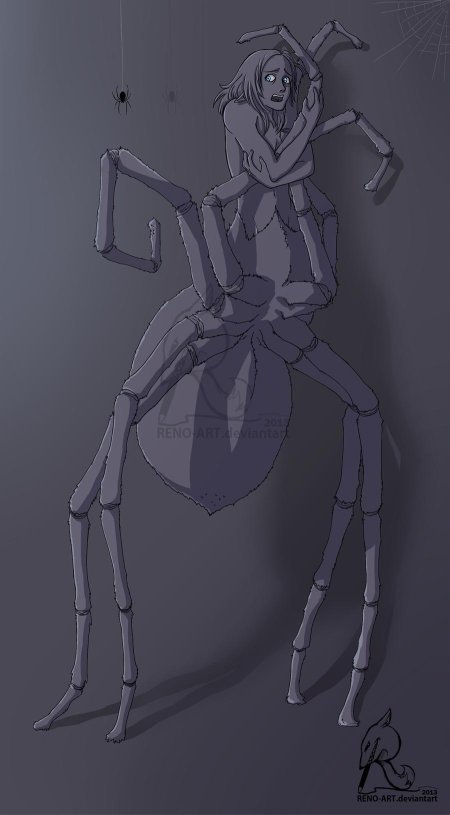 Паук арахнид