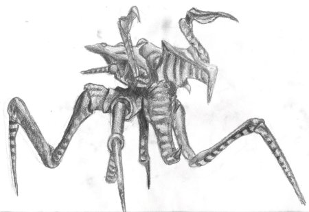 Starship troopers chronicles жуки