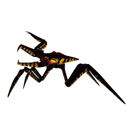 Звездный десант арахниды