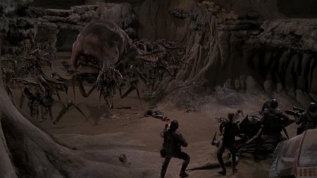 Звёздный десант жуки