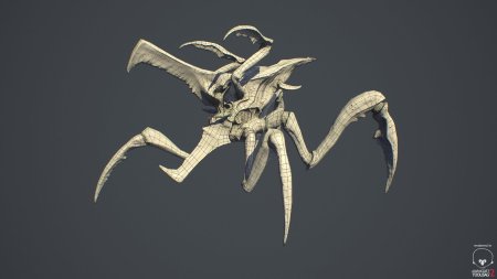 Арахниды жук воин