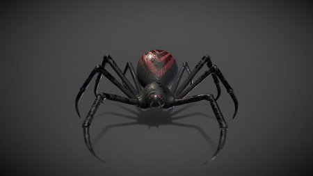 Пауки черная вдова