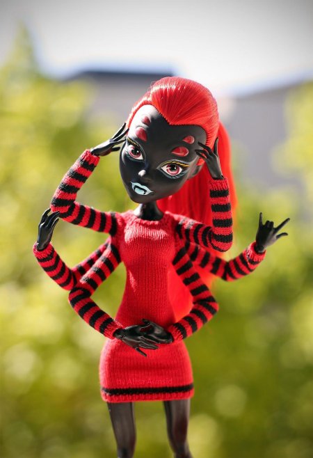 Вайдона спайдер