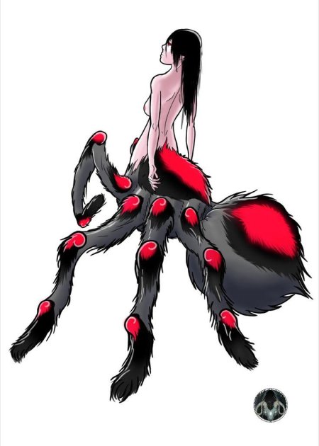 Черная вдова арахна