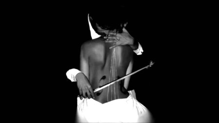 Женщина скрипка