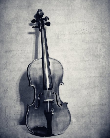 Скрипка рисунок