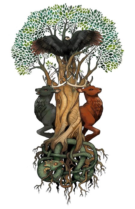 Ясень иггдрасиль мировое дерево