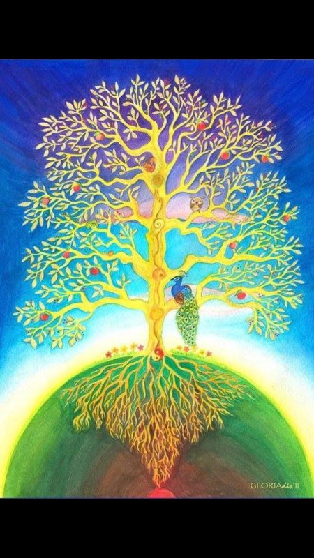 Родовое дерево эзотерика