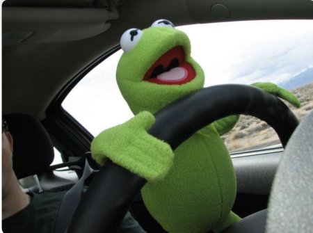 Лягушонок кермит за рулем