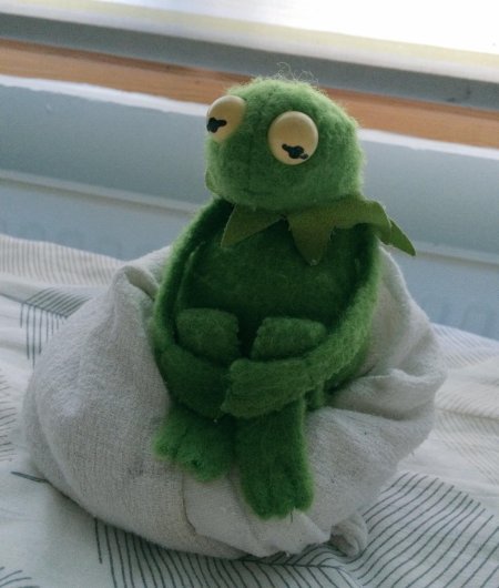 Плюшевая лягушка