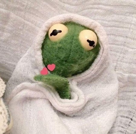 Лягушка кермит эстетика