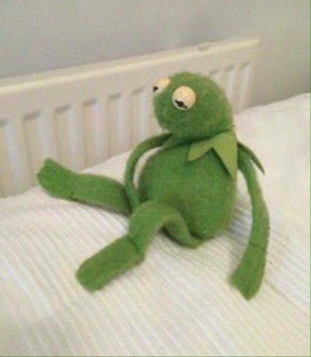 Лягушка кермит эстетика