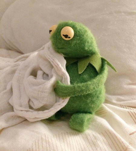 Лягушка кермит эстетика