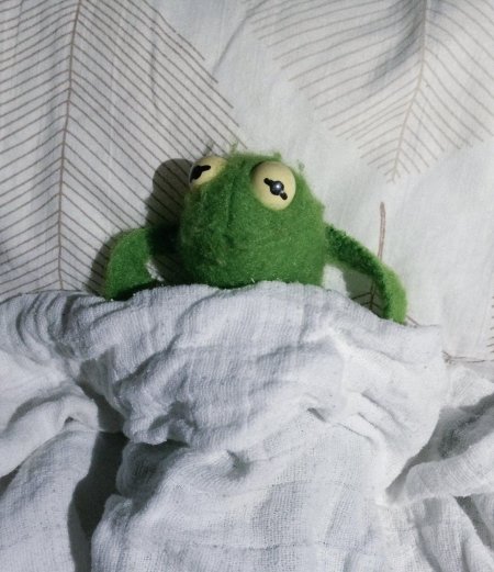 Лягушонок кермит пепе