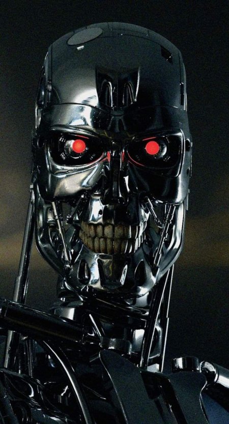 Терминатор т 800 эндоскелет