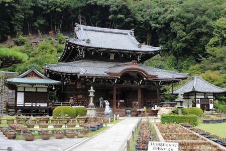 Эйхэйдзи в японии храм