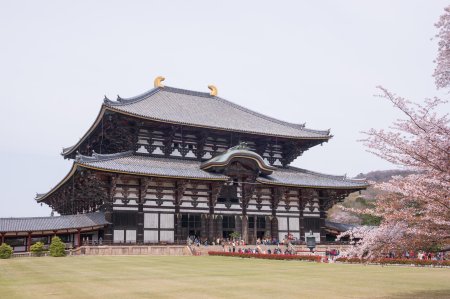 Дайбуцудэн монастырь тодайдзи нара план