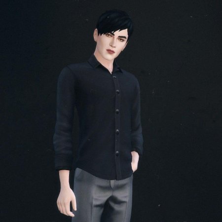 Виктор ван арт симс