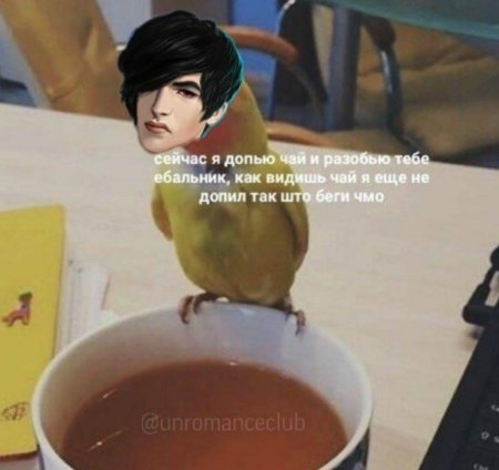 Клуб романтики приколы