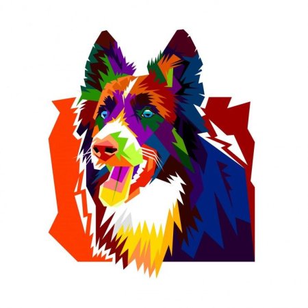 Австралийская овчарка