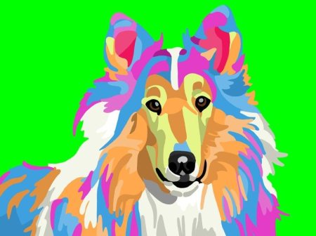 Собака колли