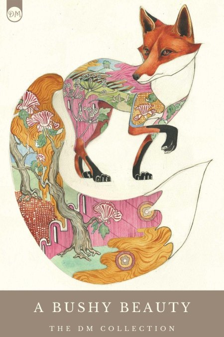 Лиса иллюстрации