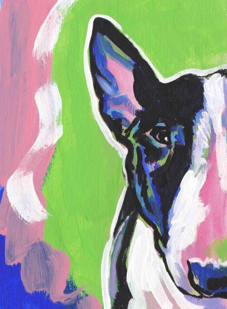 Разноцветный бультерьер