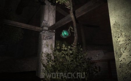 Сталкер аномалия оазис