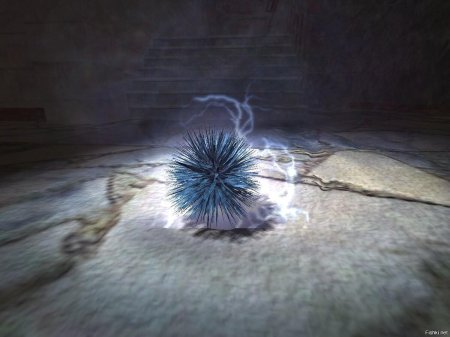 Сталкер артефакты морской ёж