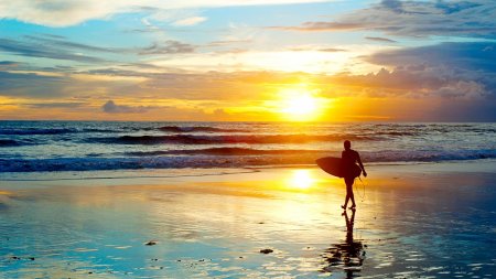 Серфингисты на закате берегу