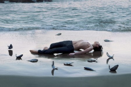 Alex stoddard сюрреализм