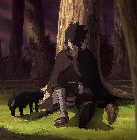 Naruto sasuke