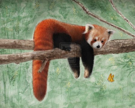 Животное из красной книги красная панда