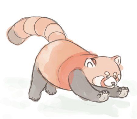 Малая панда рисунок для срисовки