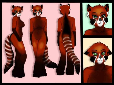 Панда фурри