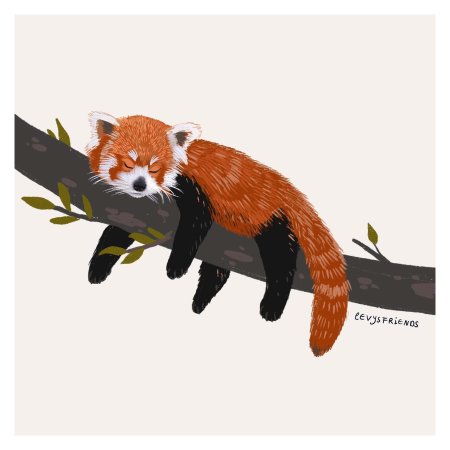 Красная панда рисунки