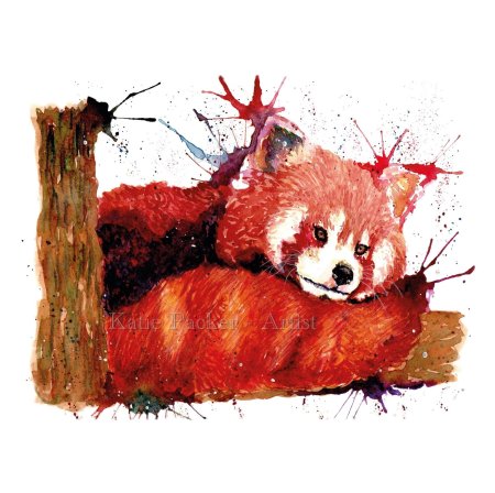 Красная панд