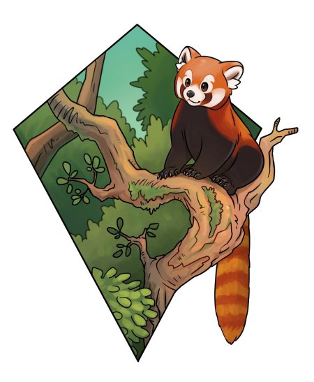 Рисунки красной панды