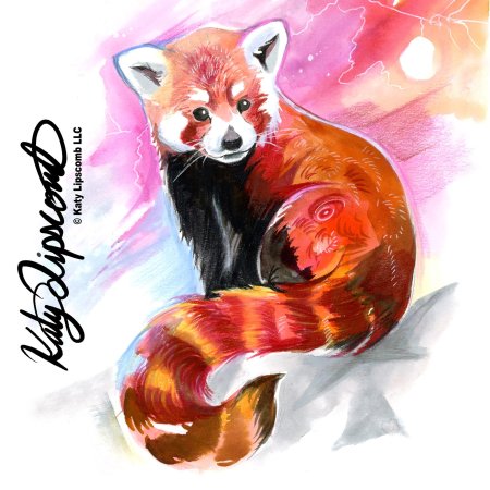 Рисунки красной панды