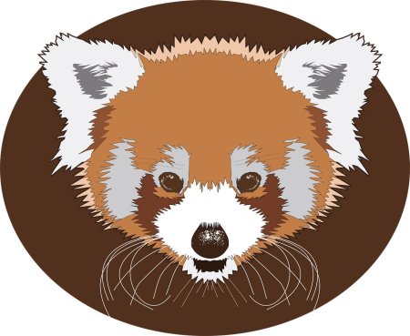 Красная панд