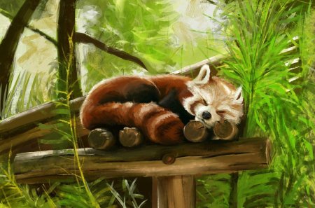 Красная панд