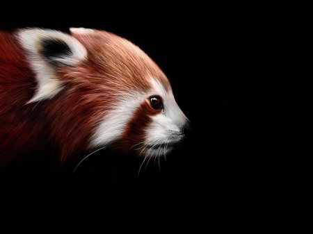 Красная панд