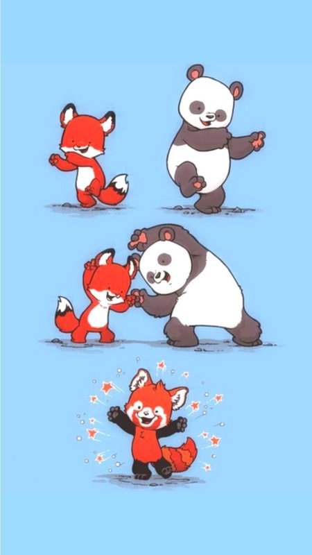 Красная панда и енот