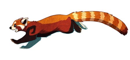 Красная панда мультяшная