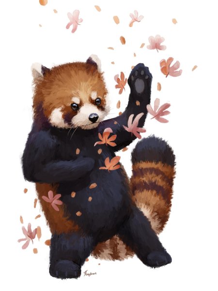 Малая панда