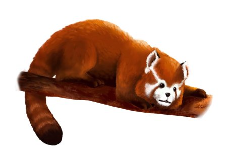 Красная панда малая