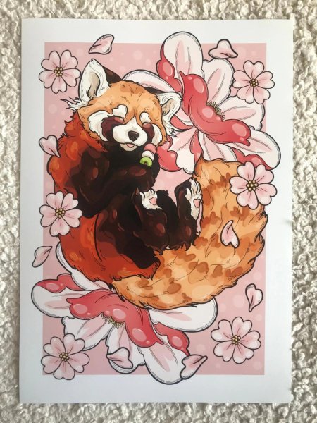 Панда красная